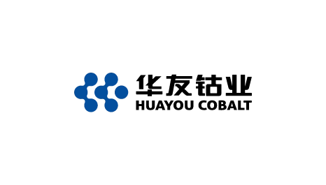 Zhejiang Huayou Cobalt Logo